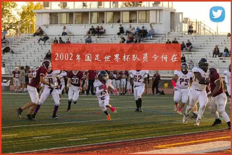 2002年国足世界杯队员今何在