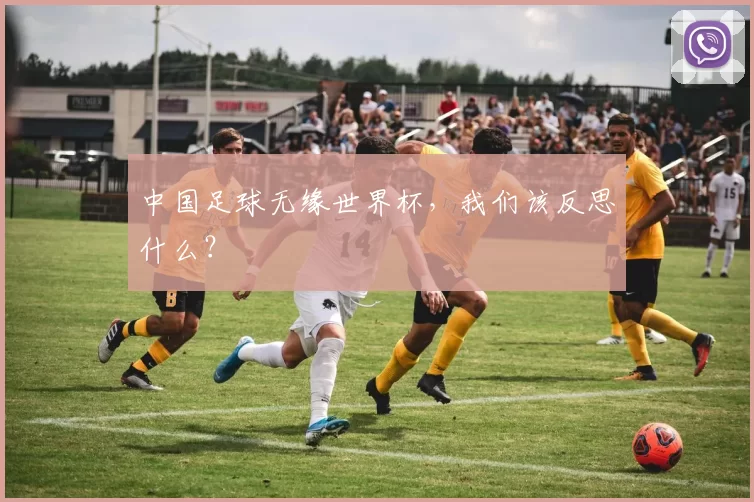 中国足球无缘世界杯,我们该反思什么?