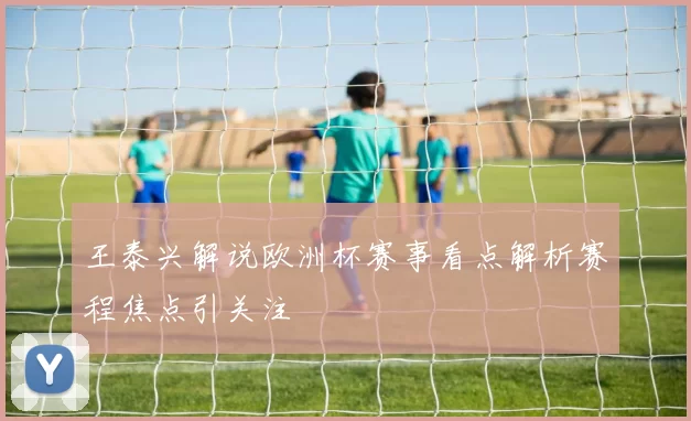 王泰兴解说欧洲杯赛事看点解析赛程焦点引关注