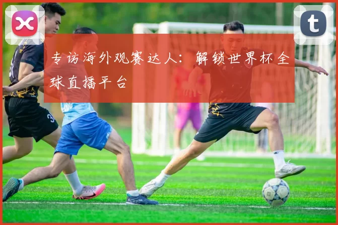 专访海外观赛达人:解锁世界杯全球直播平台