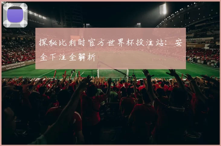 探秘比利时官方世界杯投注站：安全下注全解析