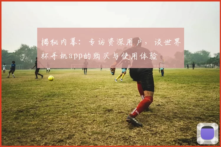 揭秘内幕:专访资深用户,谈世界杯手机app的购买与使用体验