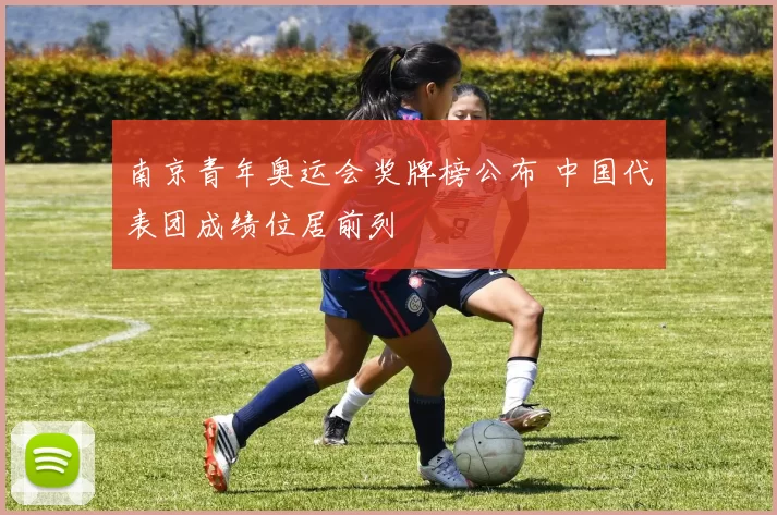 南京青年奥运会奖牌榜公布 中国代表团成绩位居前列
