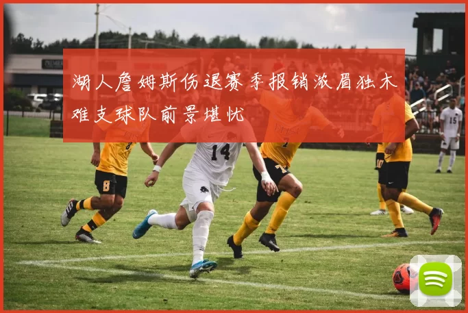 湖人詹姆斯伤退赛季报销浓眉独木难支球队前景堪忧