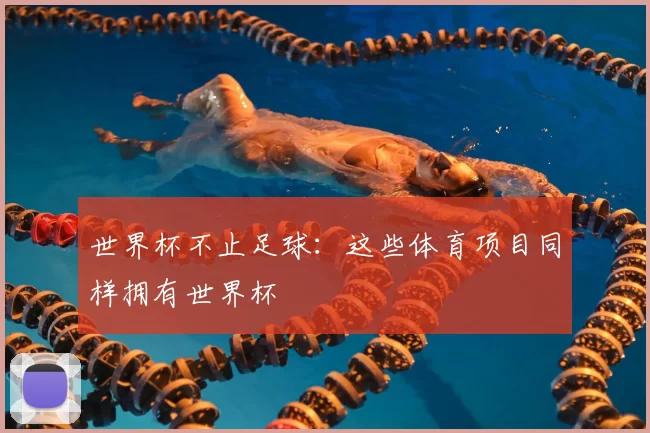 世界杯不止足球：这些体育项目同样拥有世界杯