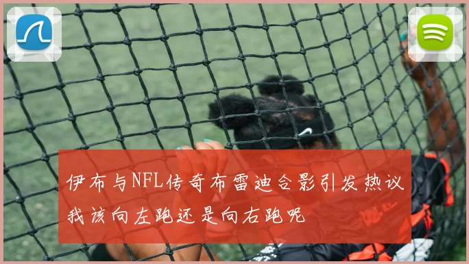 伊布与NFL传奇布雷迪合影引发热议我该向左跑还是向右跑呢