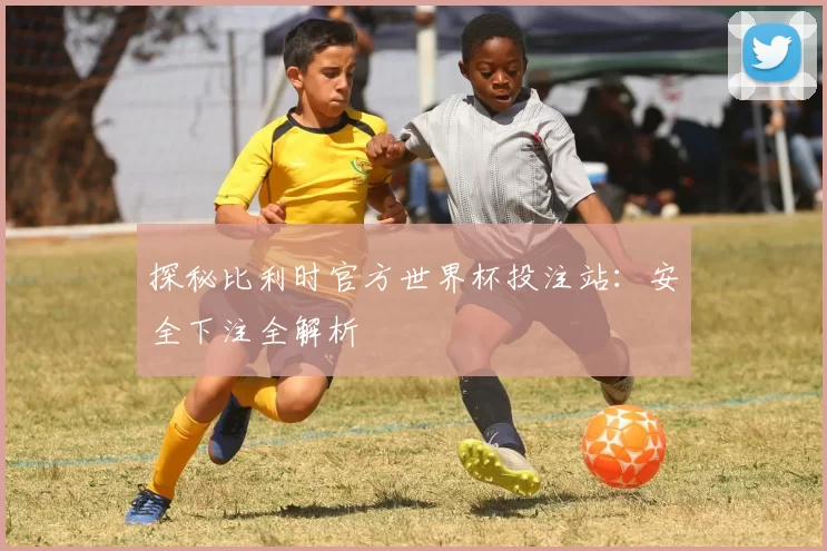 探秘比利时官方世界杯投注站:安全下注全解析